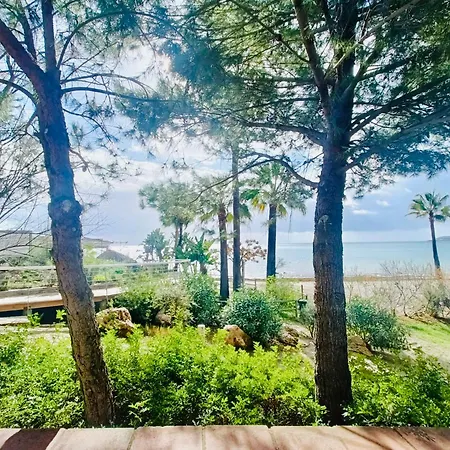 Beachfront Penthouse Luxury *